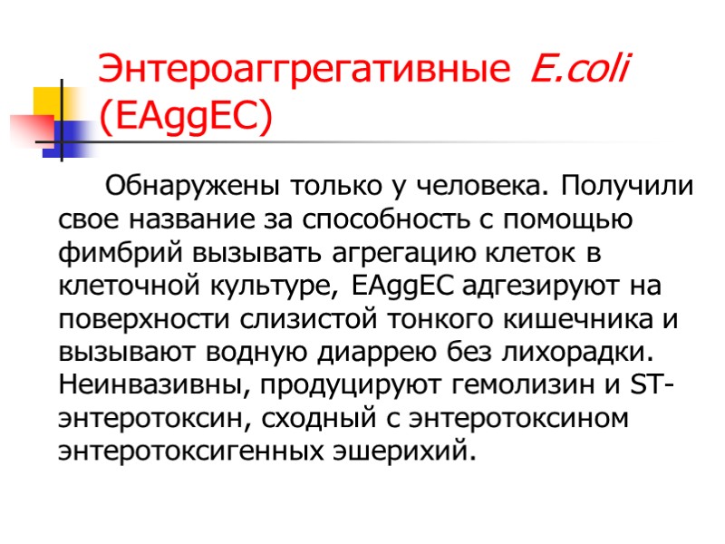 Энтероаггрегативные E.coli (EAggEC)   Обнаружены только у человека. Получили свое название за способность